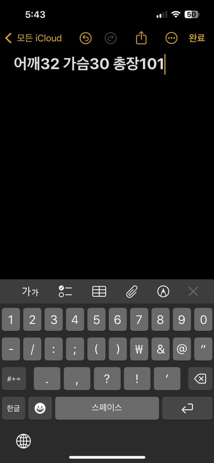 BYD STANDARD 데님팬츠 상품이미지6