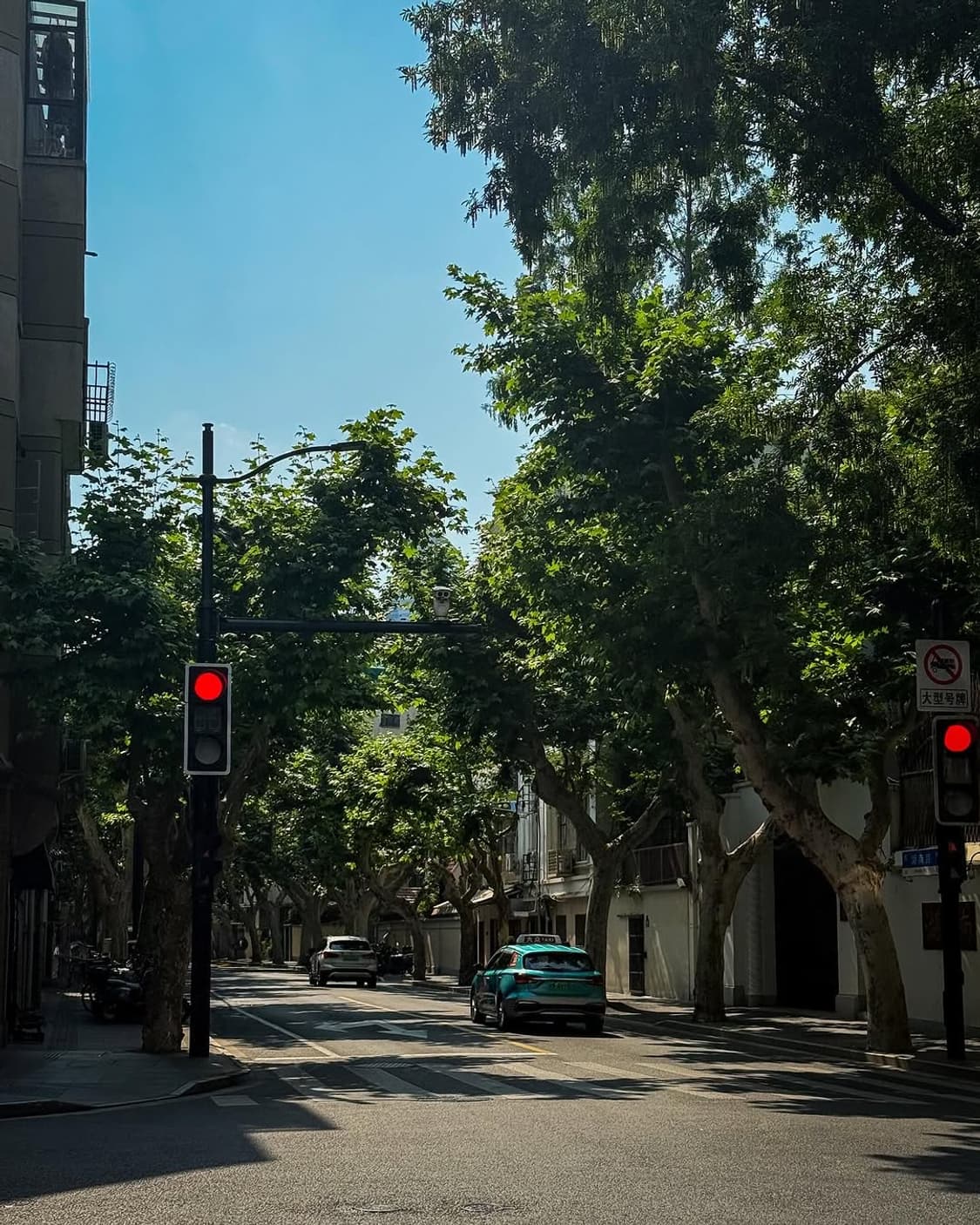 Canon PowerShot TX1 판매합니다 상품이미지9