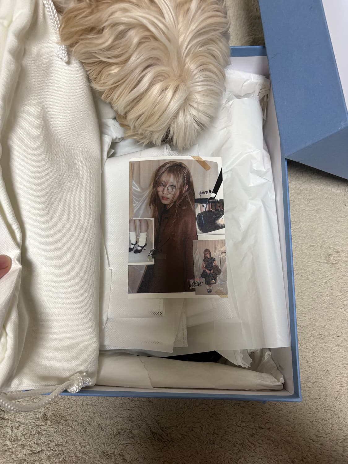 [44] 나마체코 홀름 더비 Holm Derby 상품이미지8