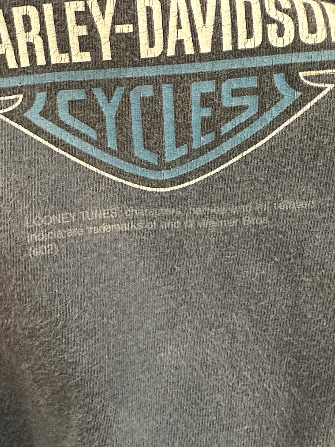 할리데이비슨 x 루니툰즈 태즈&코요테 티셔츠 - 2XL 상품이미지6