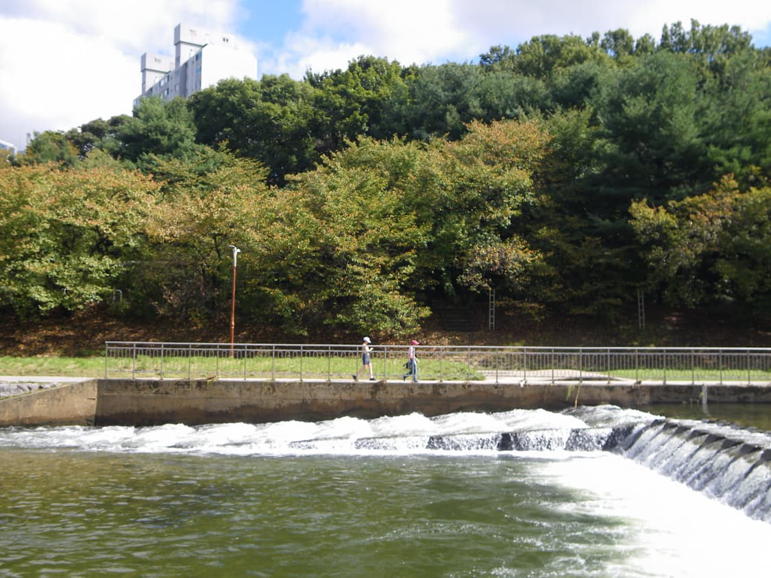 (작례 O) 펜탁스 옵티오 P70 핑크 디카 디지털카메라 상품이미지7