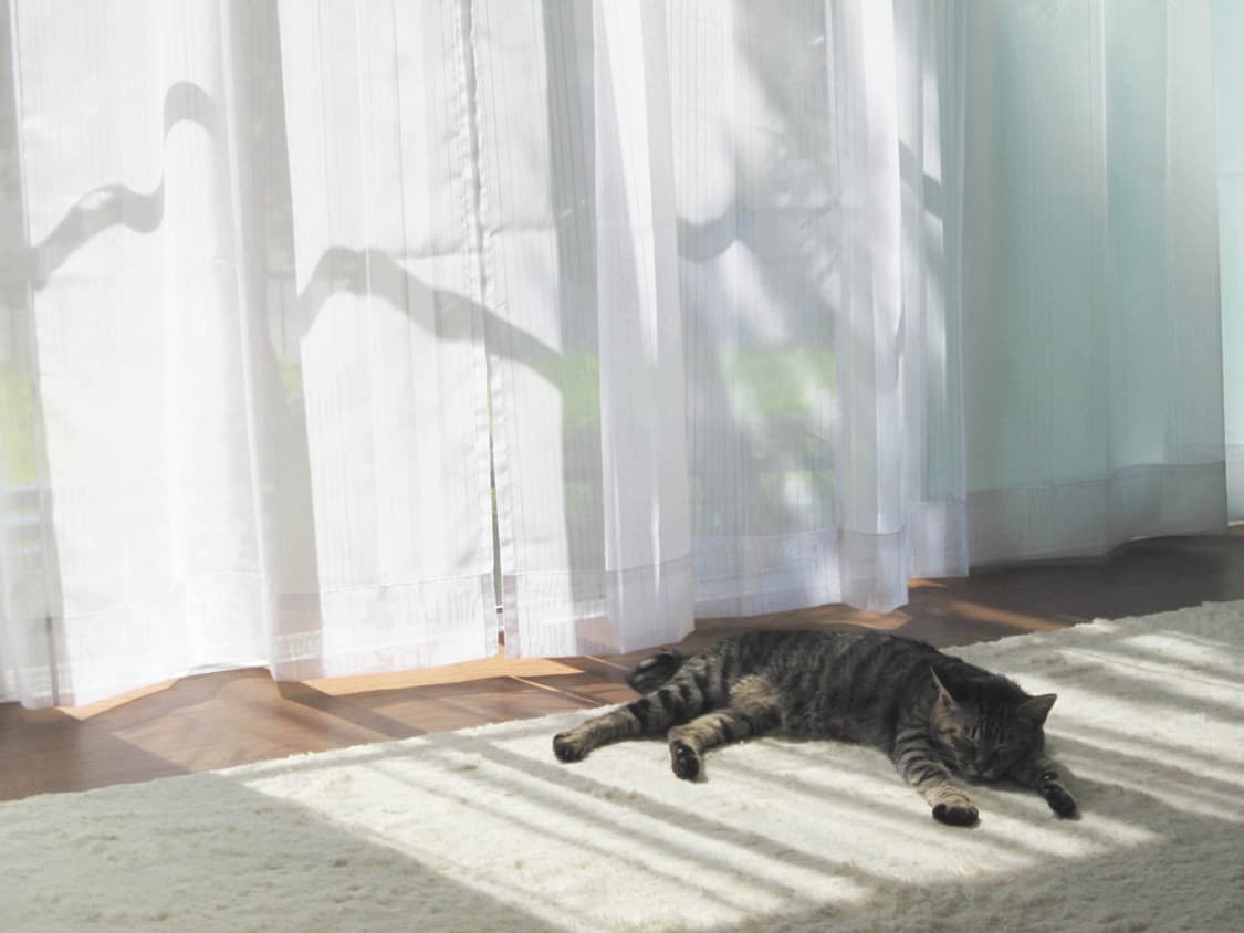 캐논 익서스 Canon IXUS 200 IS 핑크 상품이미지4