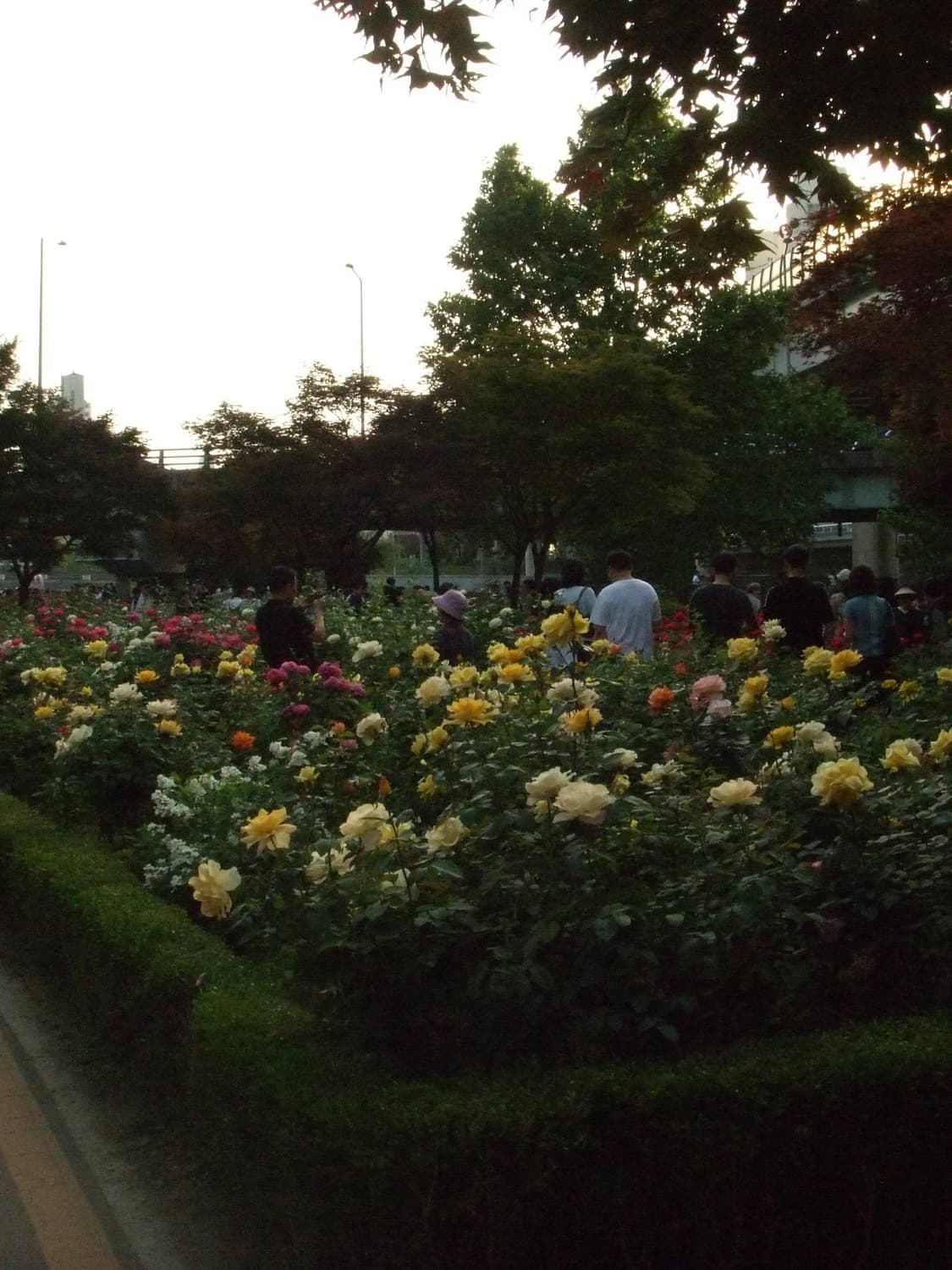 [Y2K 감성/디카]✨후지필름 파인픽스(Finepix) Z5fd 판매합니 상품이미지7