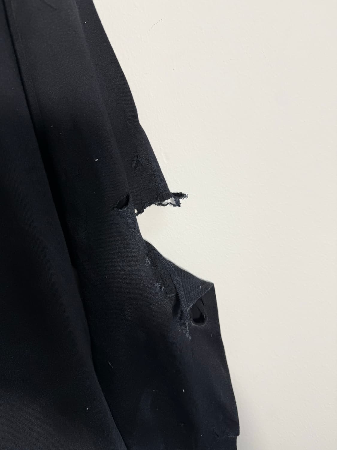 플라잉 버드 프린팅 다스트레스드 데미지 워싱 롱 슬리브  상품이미지6