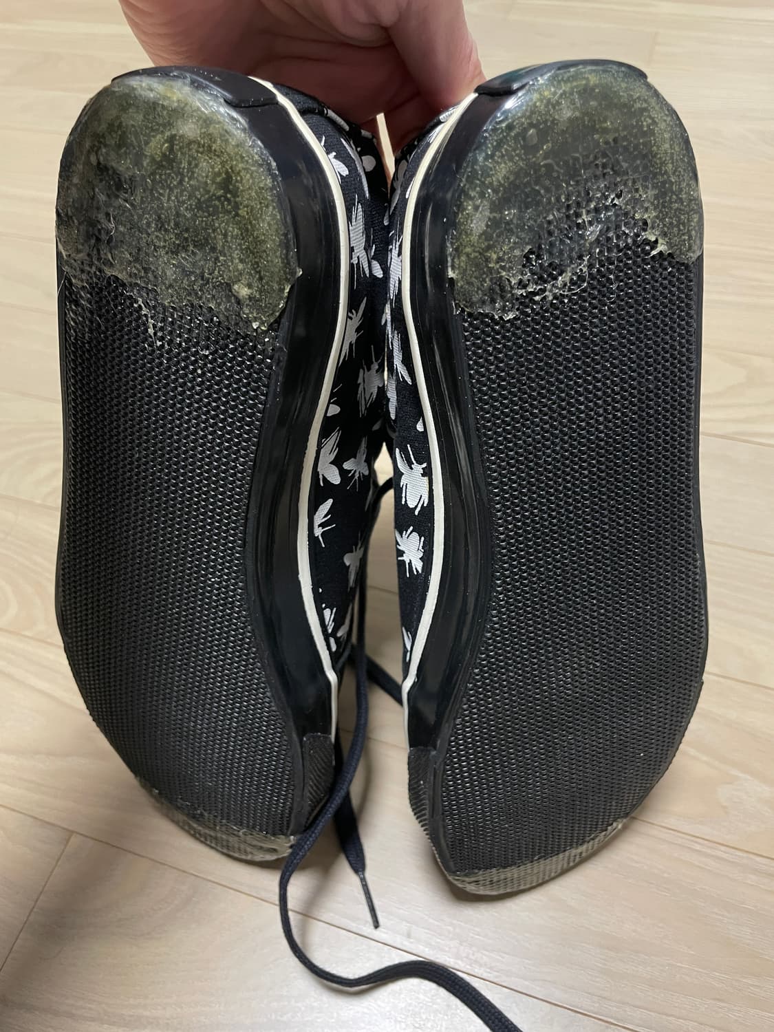 2000년대 초 dior homme  bee  컨버스 새제품 상품이미지8