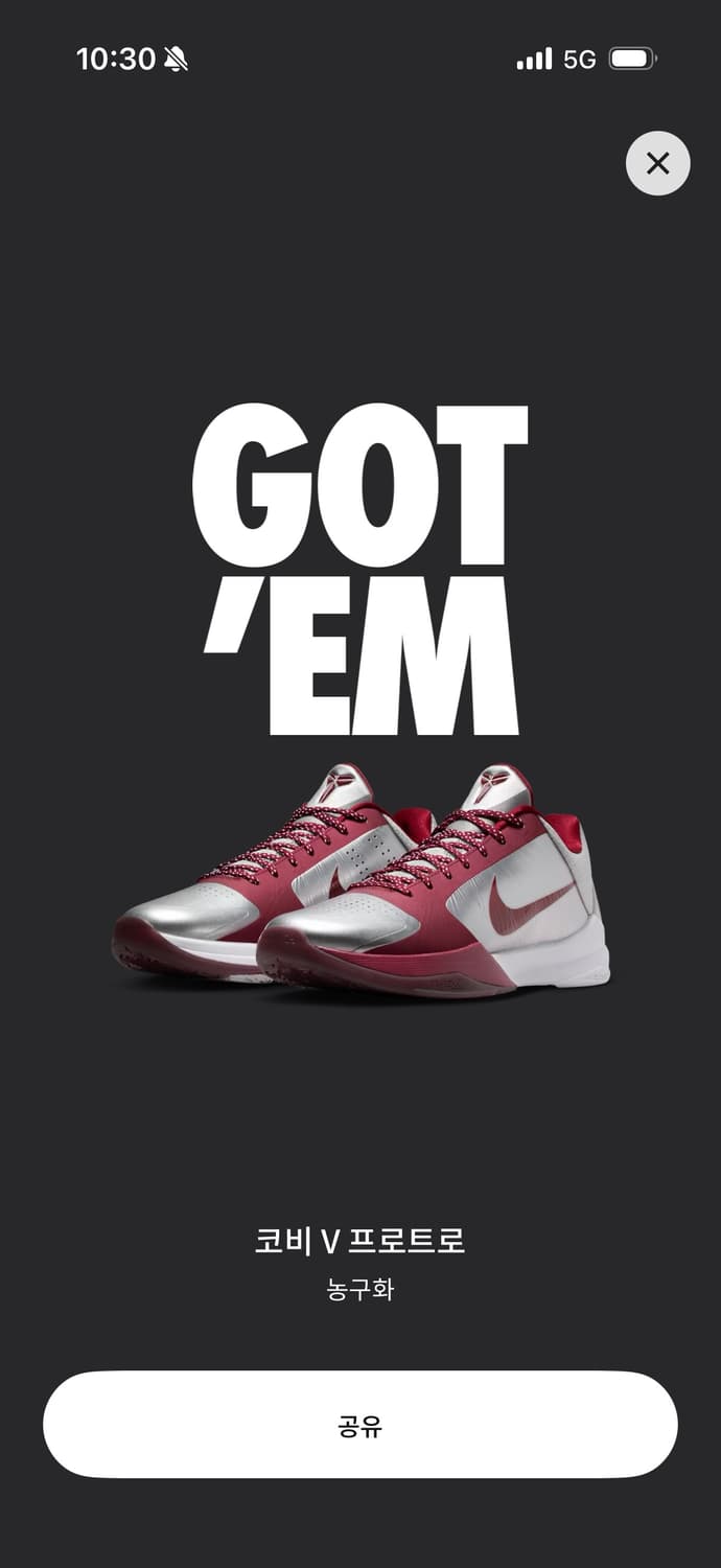 코비 5 메탈릭 실버 & 팀 레드 245 상품이미지1