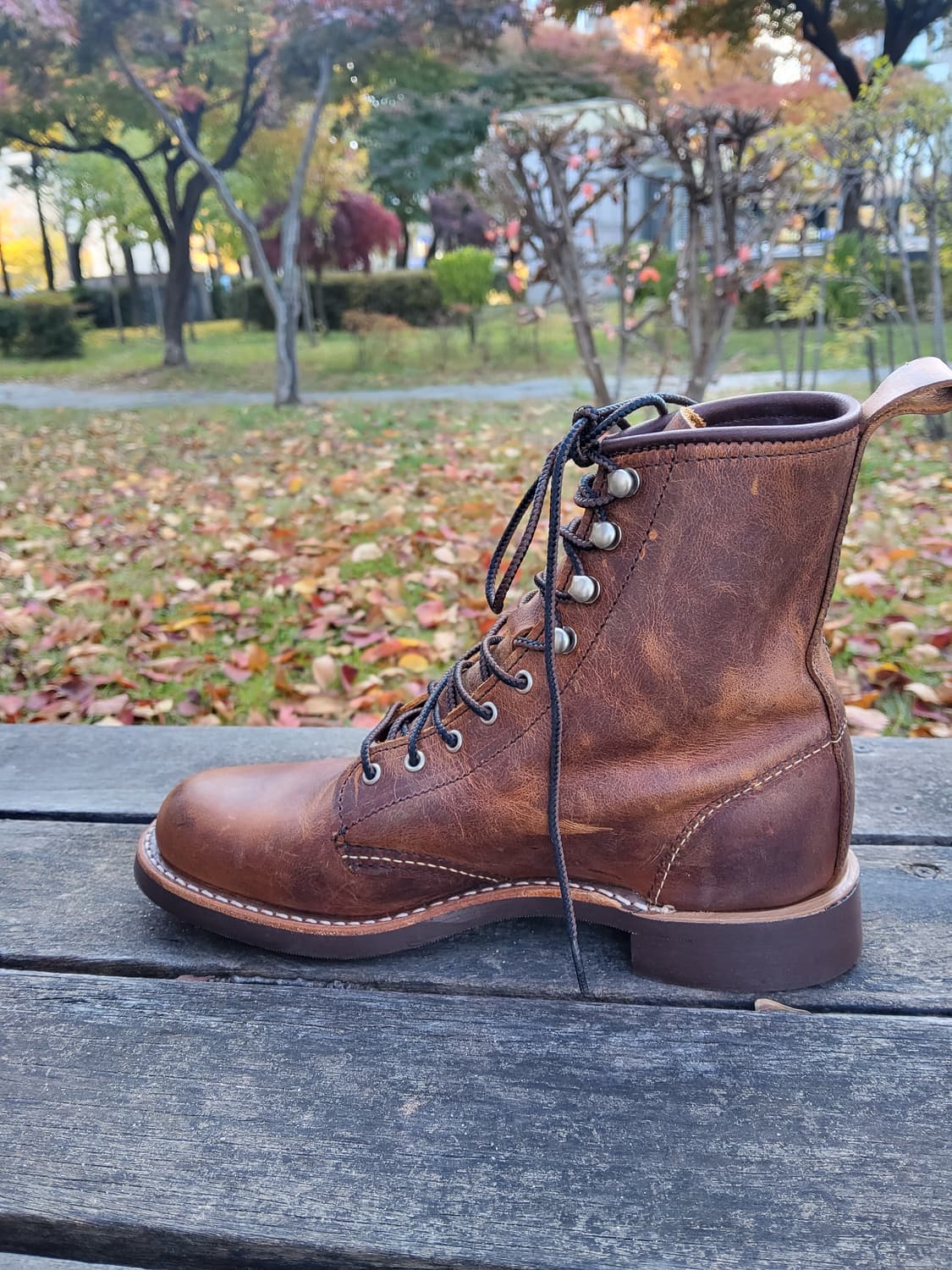 여성용 레드윙 3362부츠 신품235 상품이미지6