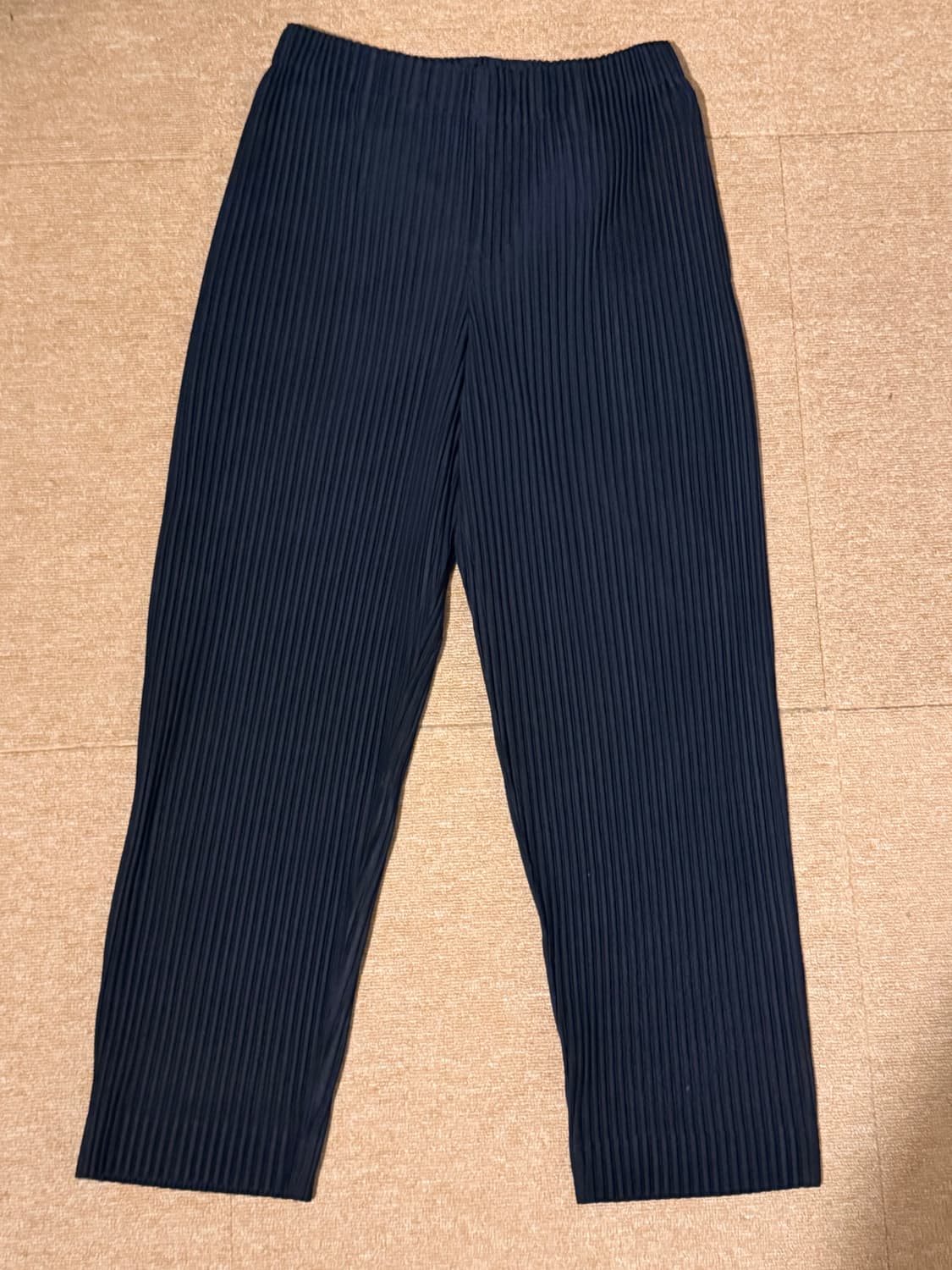 이세이미야케 옴므플리세 베이직 팬츠 네이비 1  상품이미지2