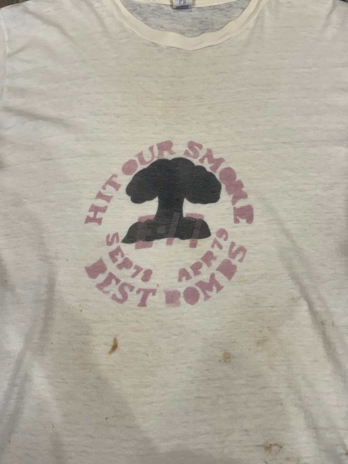 70s 헤인즈 Mushroom Colud 티 (M) 상품이미지3