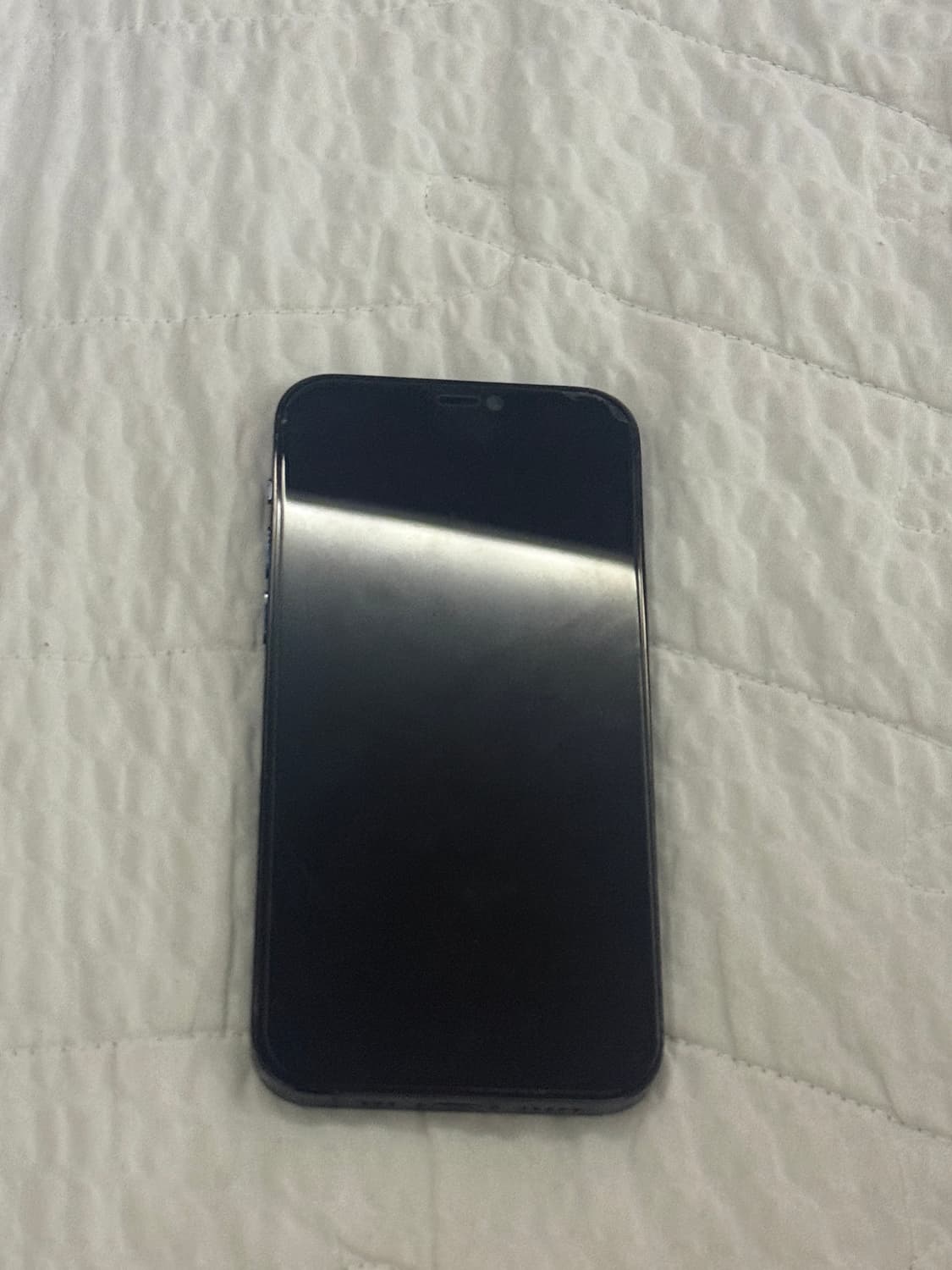 아이폰 12pro 블루 판매 상품이미지2