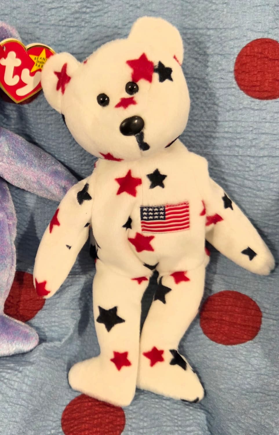 ty bear 티와이베어 Glory the Bear 상품이미지1