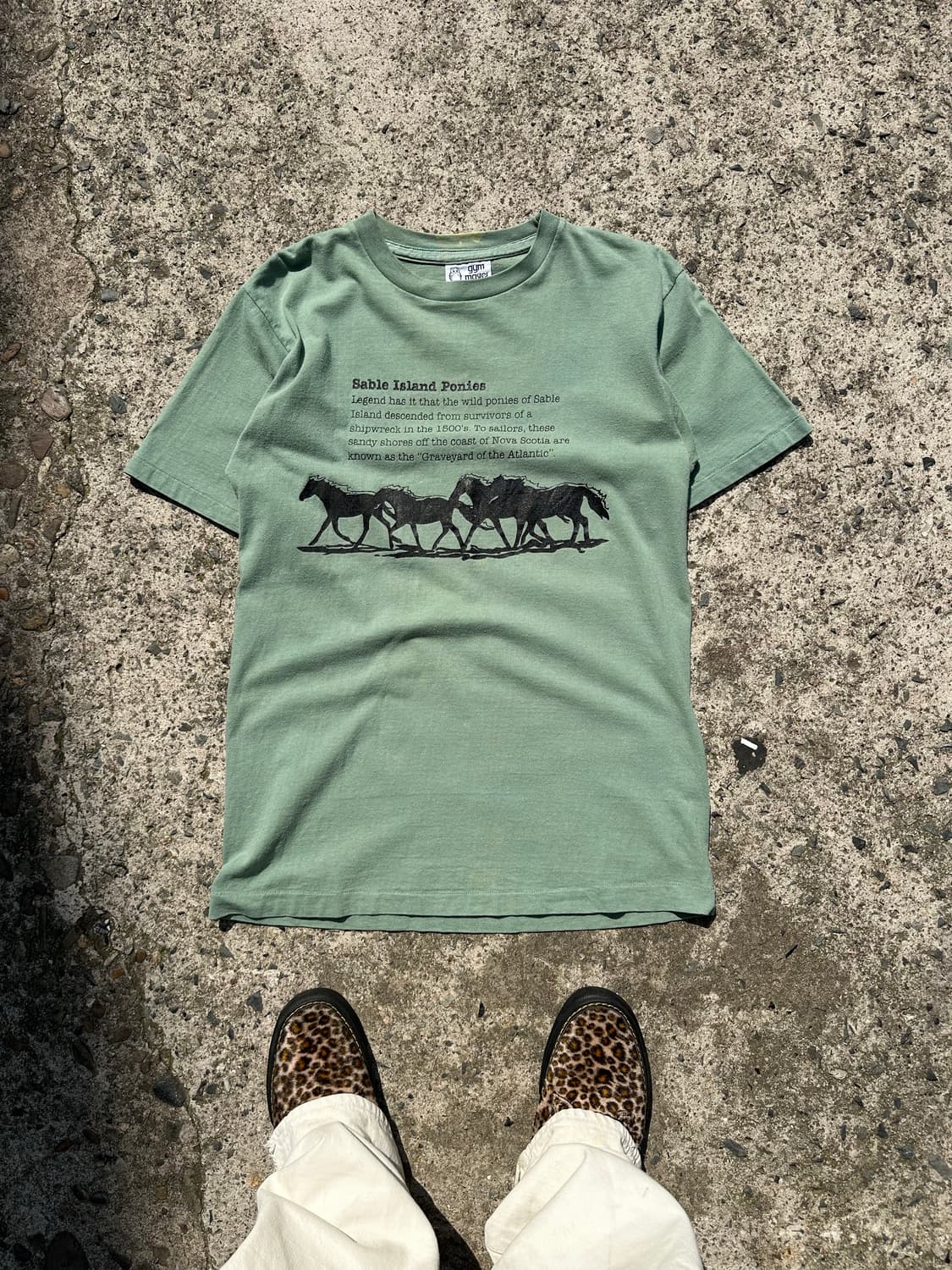 90’s Canada Gym master horse logo T 상품이미지2