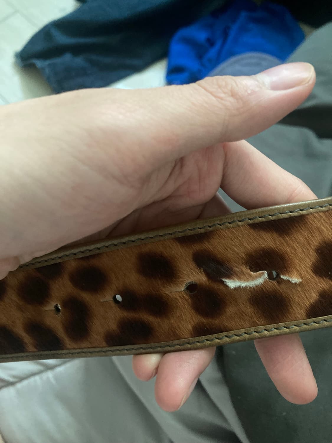 돌체앤가바나 레오파드 송치벨트 상품이미지6