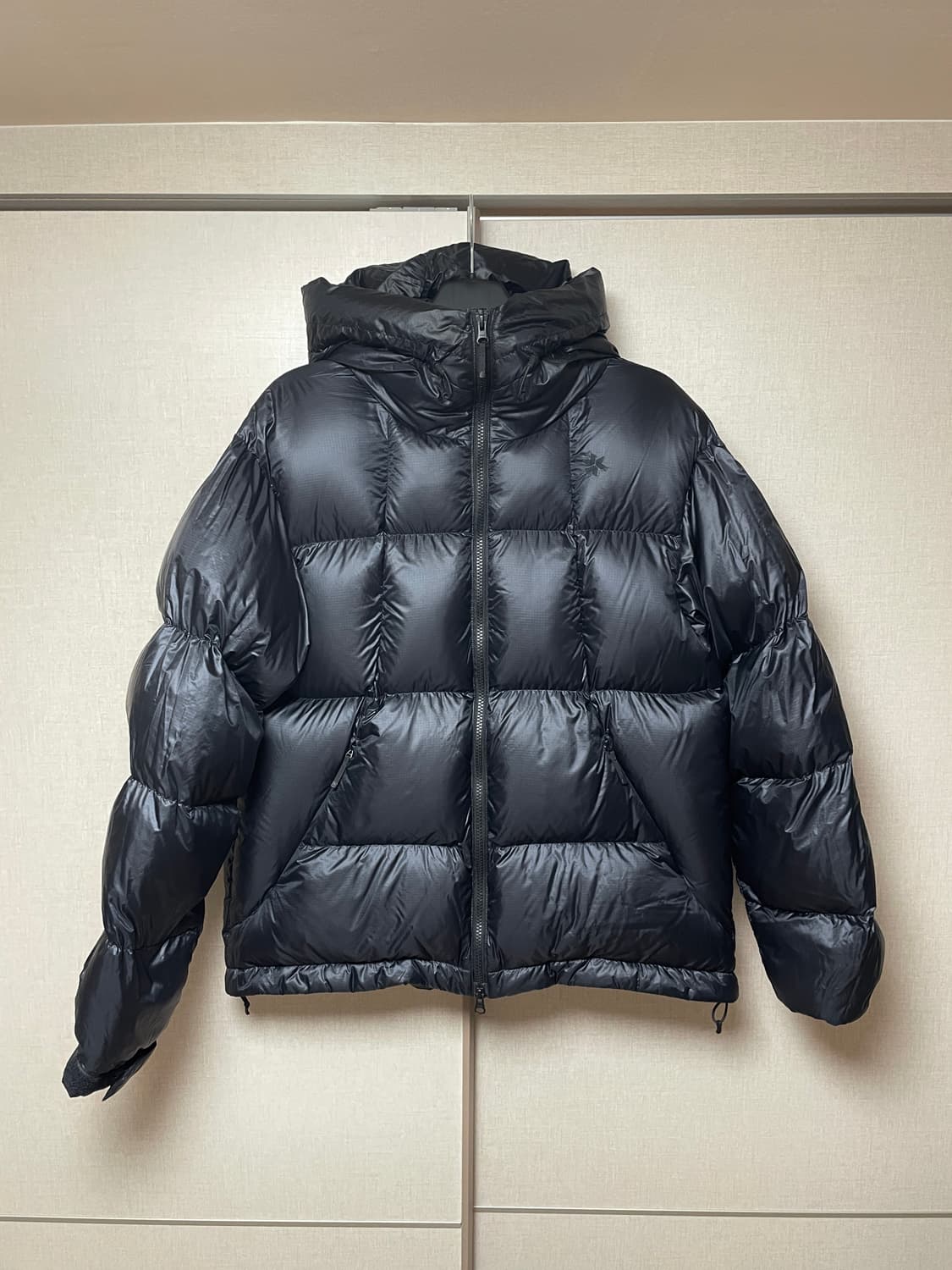 Goldwin Pertex Quantum Down Parka 상품이미지2