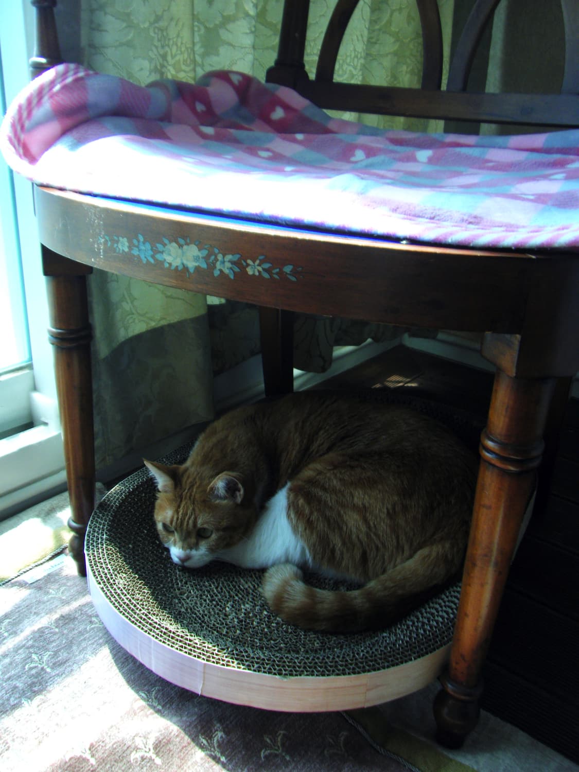 [하자/할인] 후지필름 파인픽스 z200fd (작례O) 상품이미지10