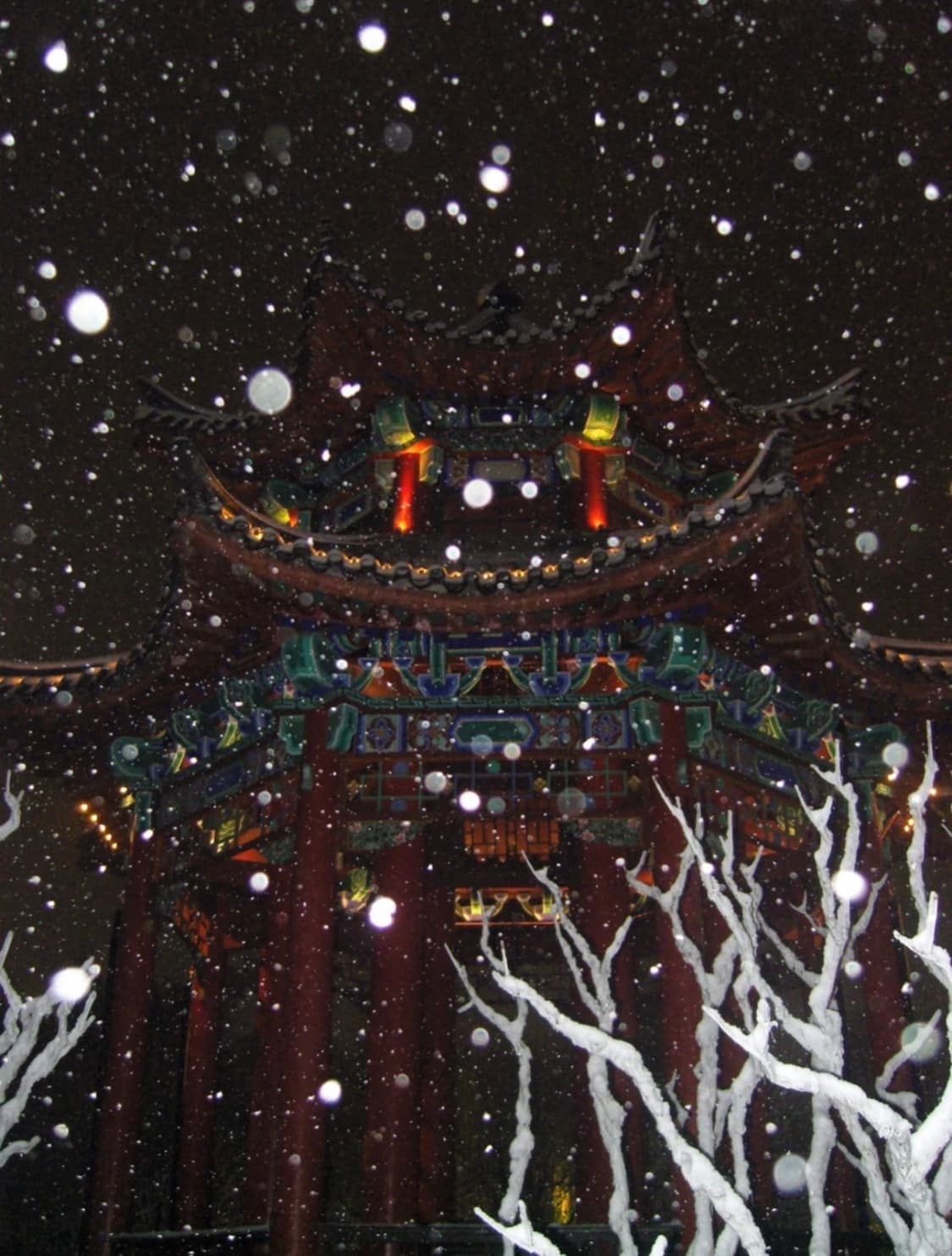 (슈나이더 렌즈) 삼성 VLUU NV20 🖤 상품이미지6