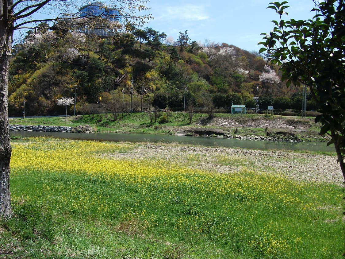 (르세라핌 채원 디카) 후지필름 파인픽스 j30 상품이미지10