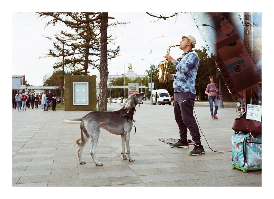 작례 포함 입문 스냅용 단렌즈 삼성 Thank-Q 필름카메라 빈티지 필카 상품이미지6