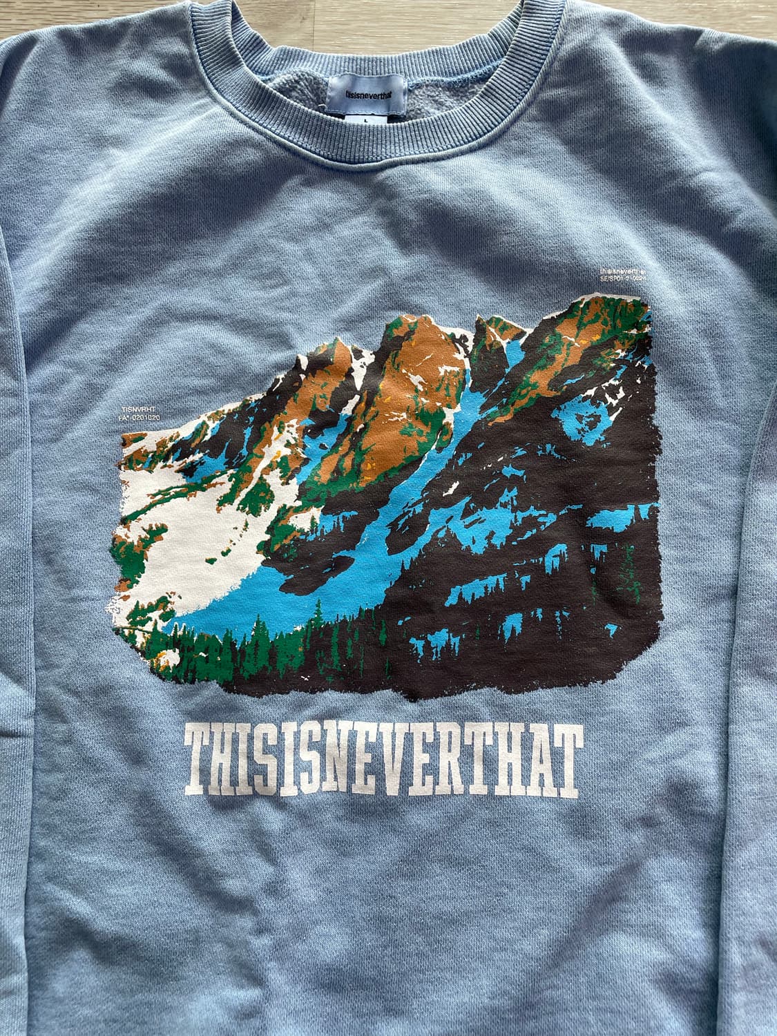 디스이즈네버댓 프린팅 맨투맨 L 상품이미지3