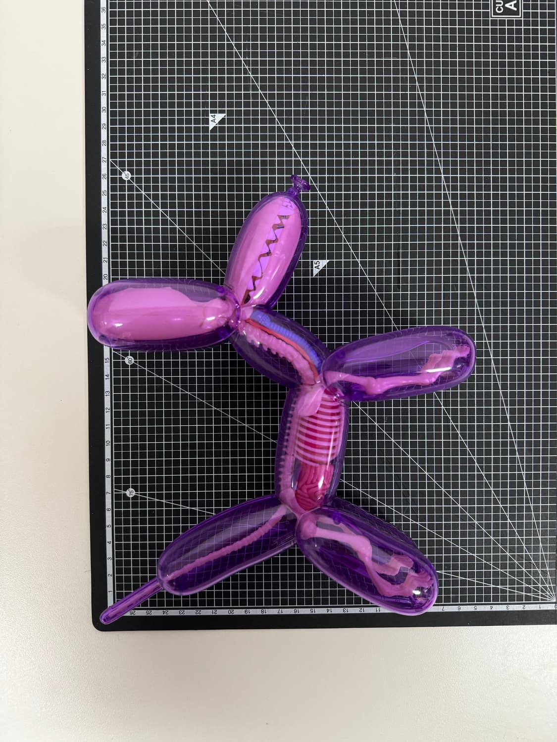 제이슨프리니 제프쿤스 4d마스터 벌룬독 아트토이 라지,스몰 세트 상품이미지9