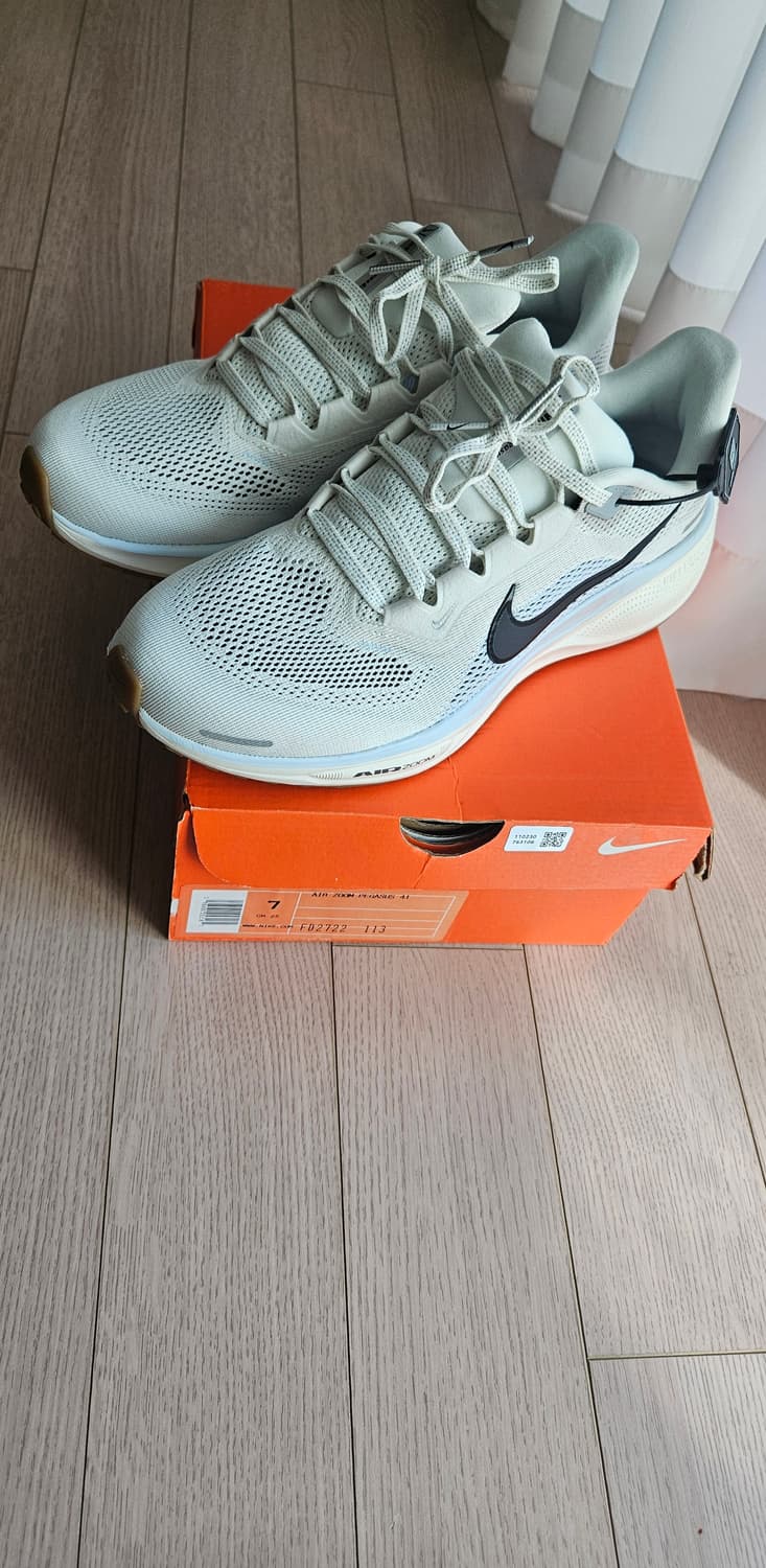 나이키 페가수스41 250   상품이미지2