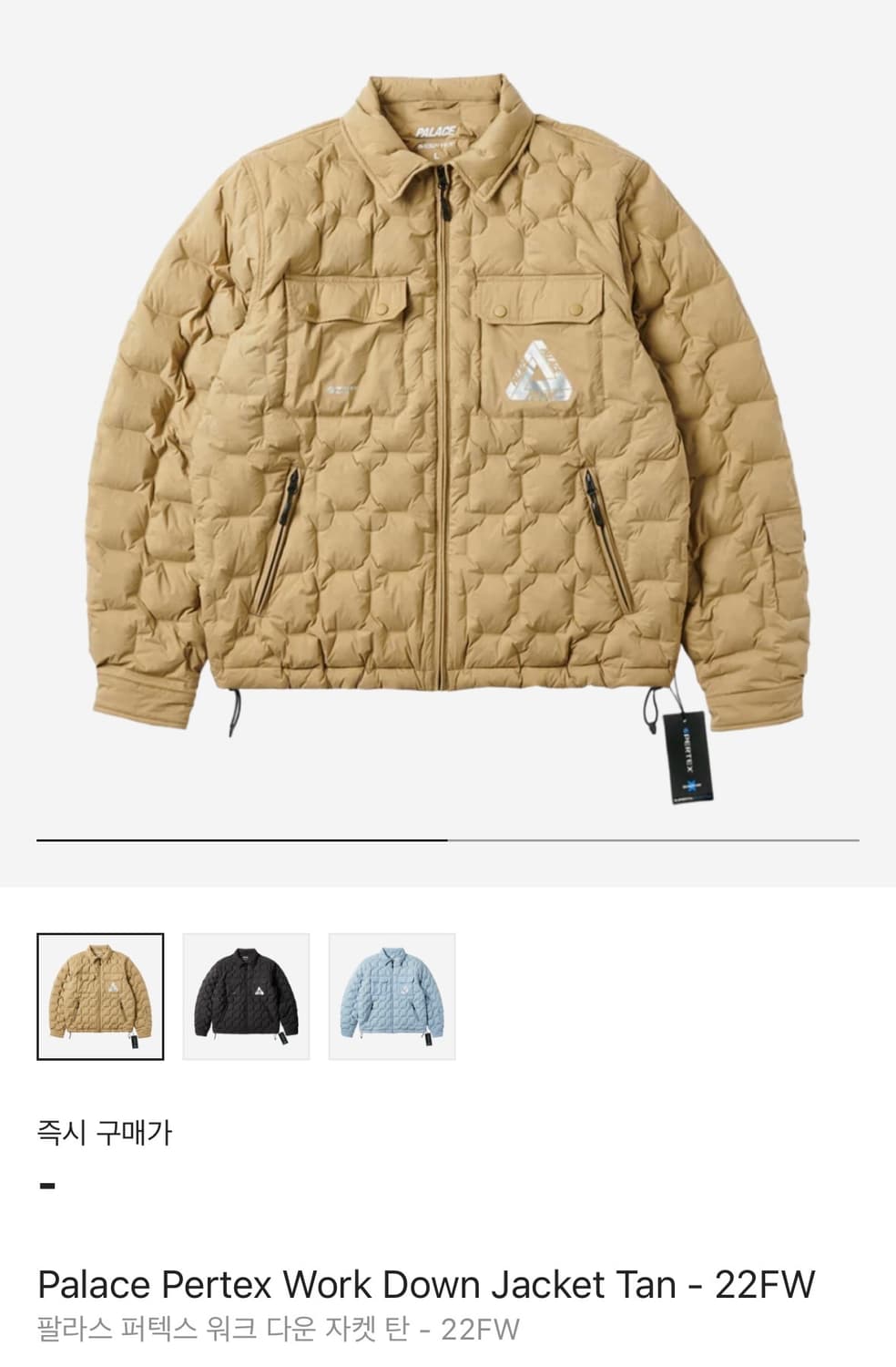 palace 22fw 퍼텍스 워크 다운 상품이미지9