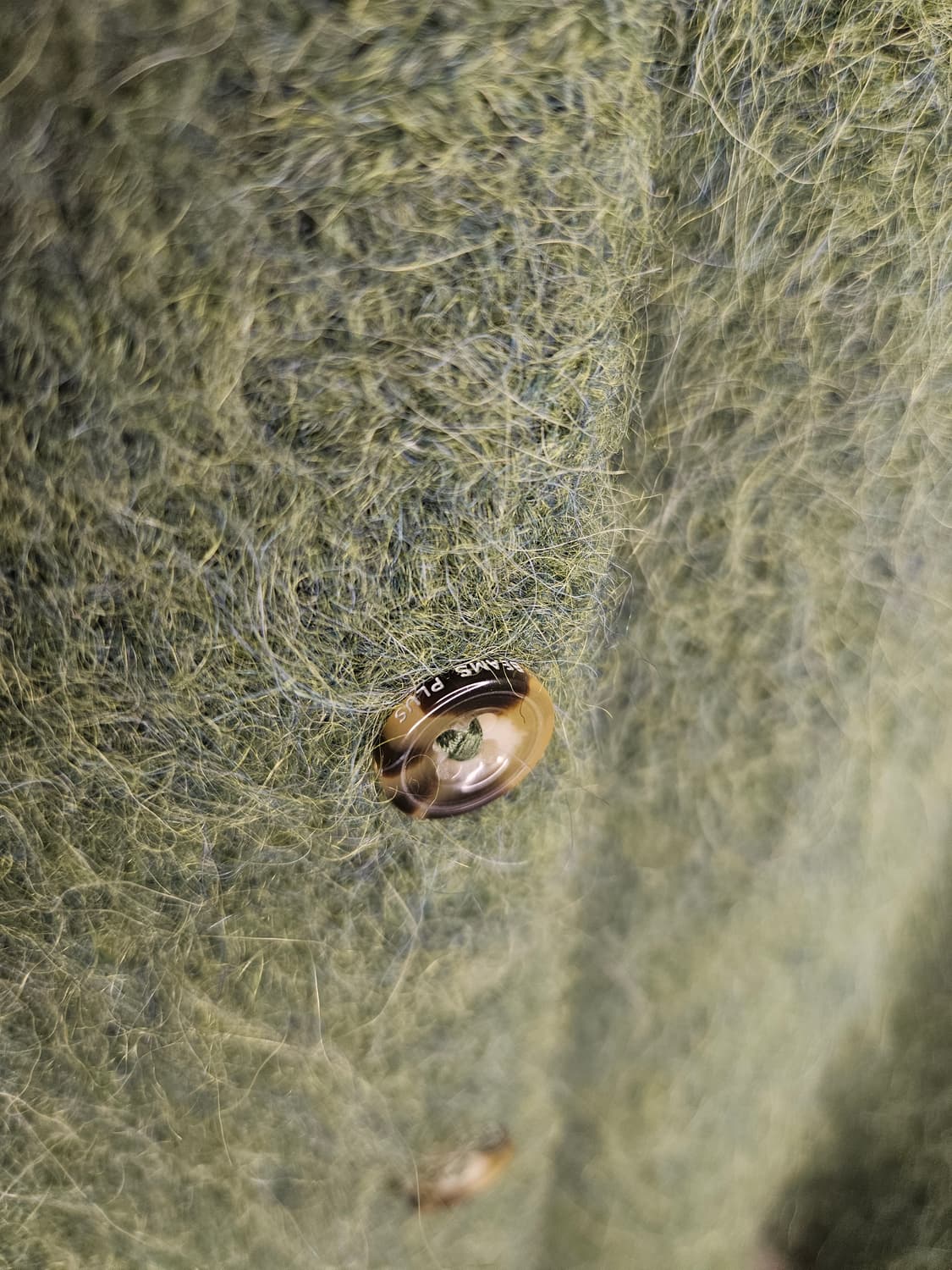 빔즈 플러스 17fw 알파카 가디건 상품이미지4