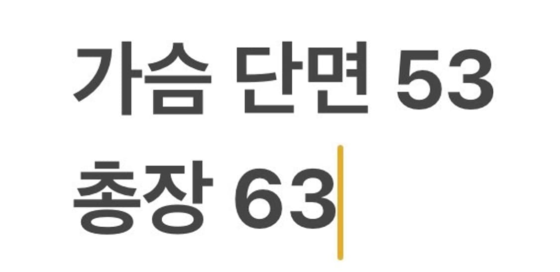 [정품/4] 파리게이츠 구스다운 경량 패딩 b14 상품이미지8