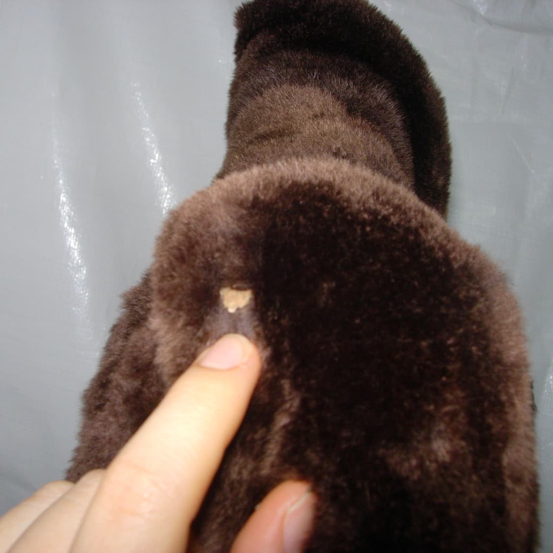 fur jacket 퍼 자켓 상품이미지7