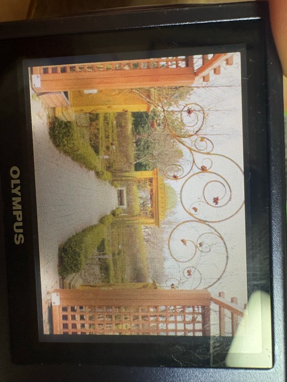 올림푸스 뮤 디지털 500 카메라 (작례포함) 상품이미지2