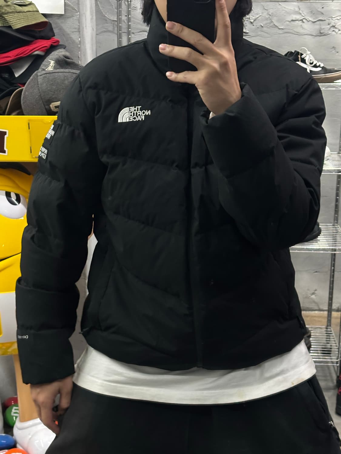 노스페이스 아스펜 테크다운 눕시패딩 상품이미지9