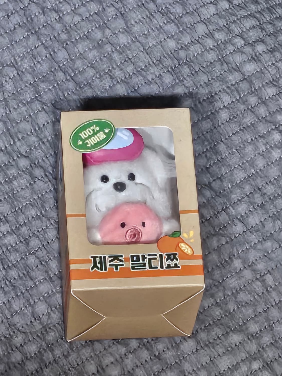 카카오프렌즈 in 제주 쬬르디 미니 인형 말티쬬 키링 강아지 미개봉 상품이미지1