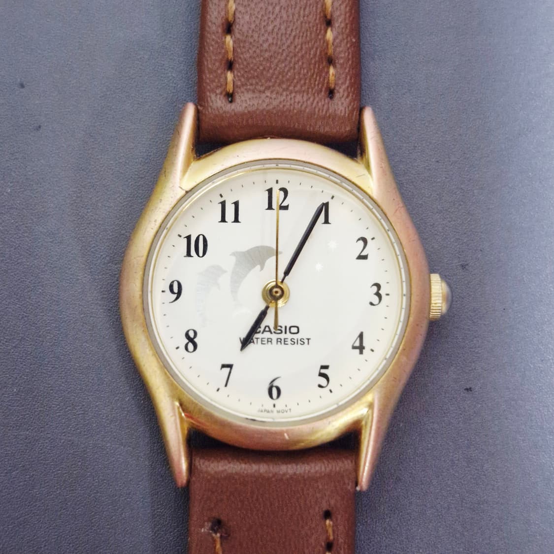 카시오 여성 돌고래 시계 상품이미지1