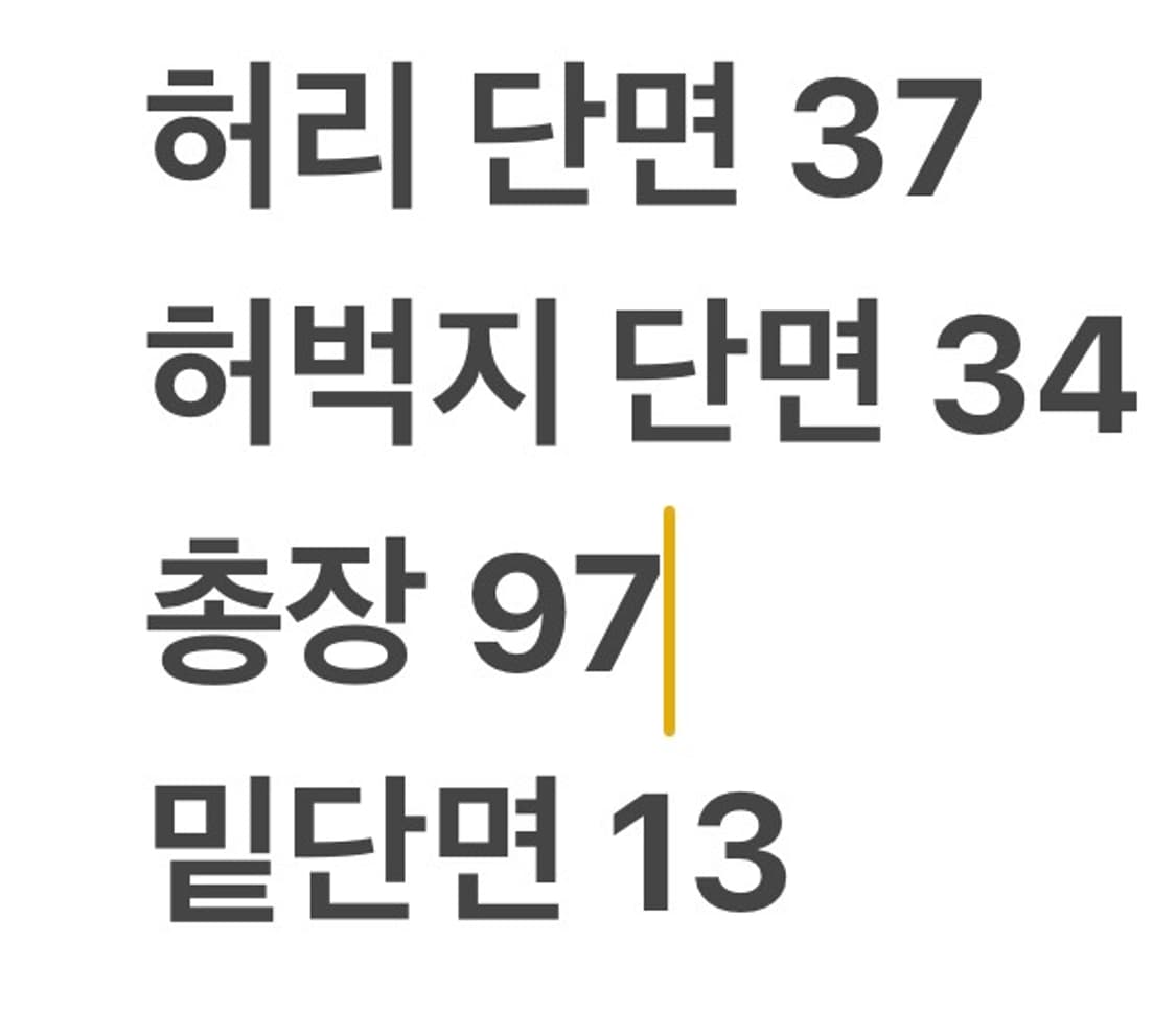 [정품] 내셔널지오그래픽 블랙 카고 바지 b17 상품이미지7