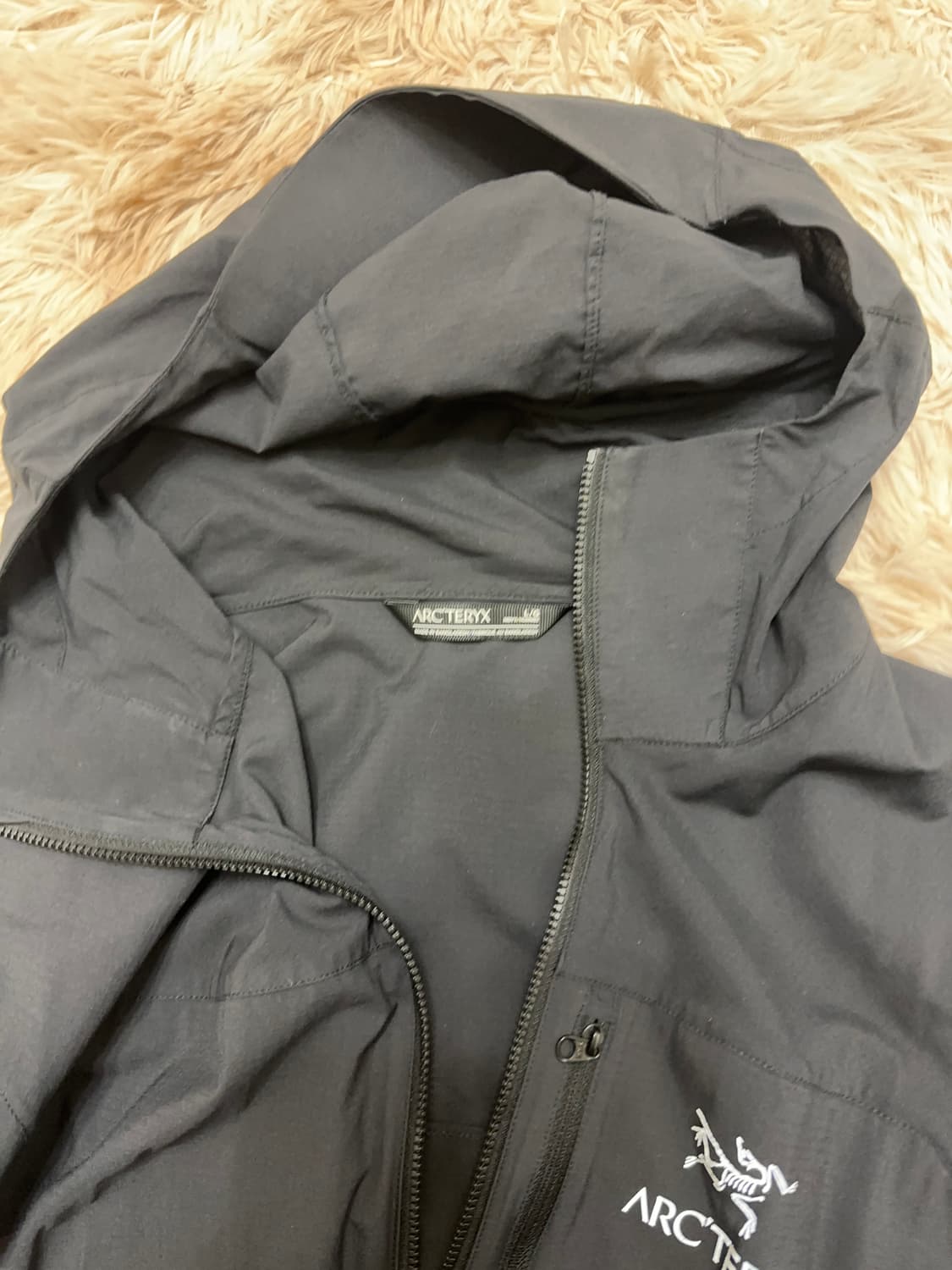 아크테릭스 스쿼미시 후디 상품이미지4