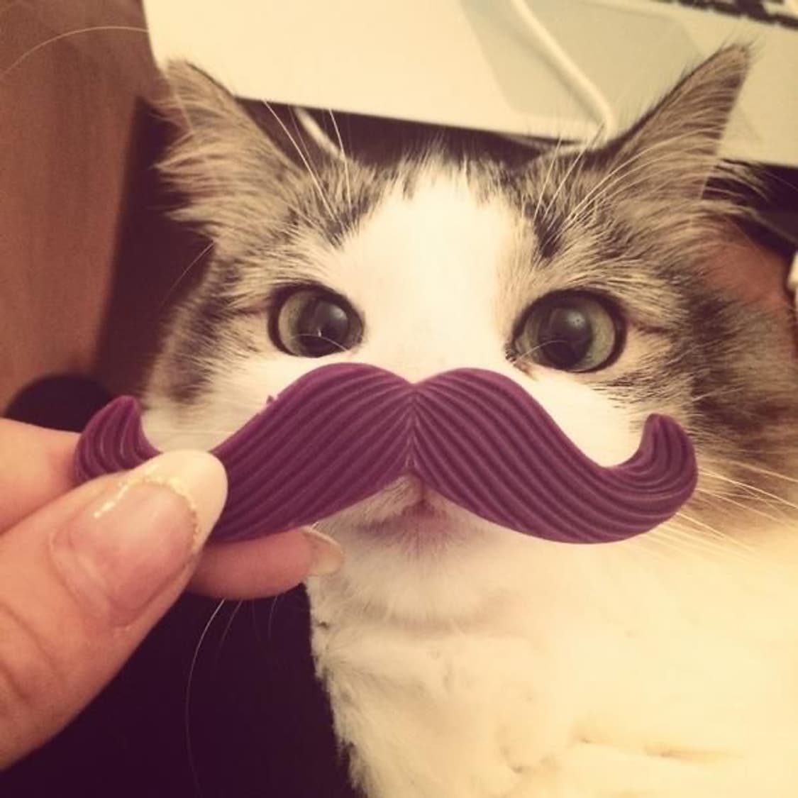 빈티지 갸루 y2k 의류 교환 교신 상품이미지1