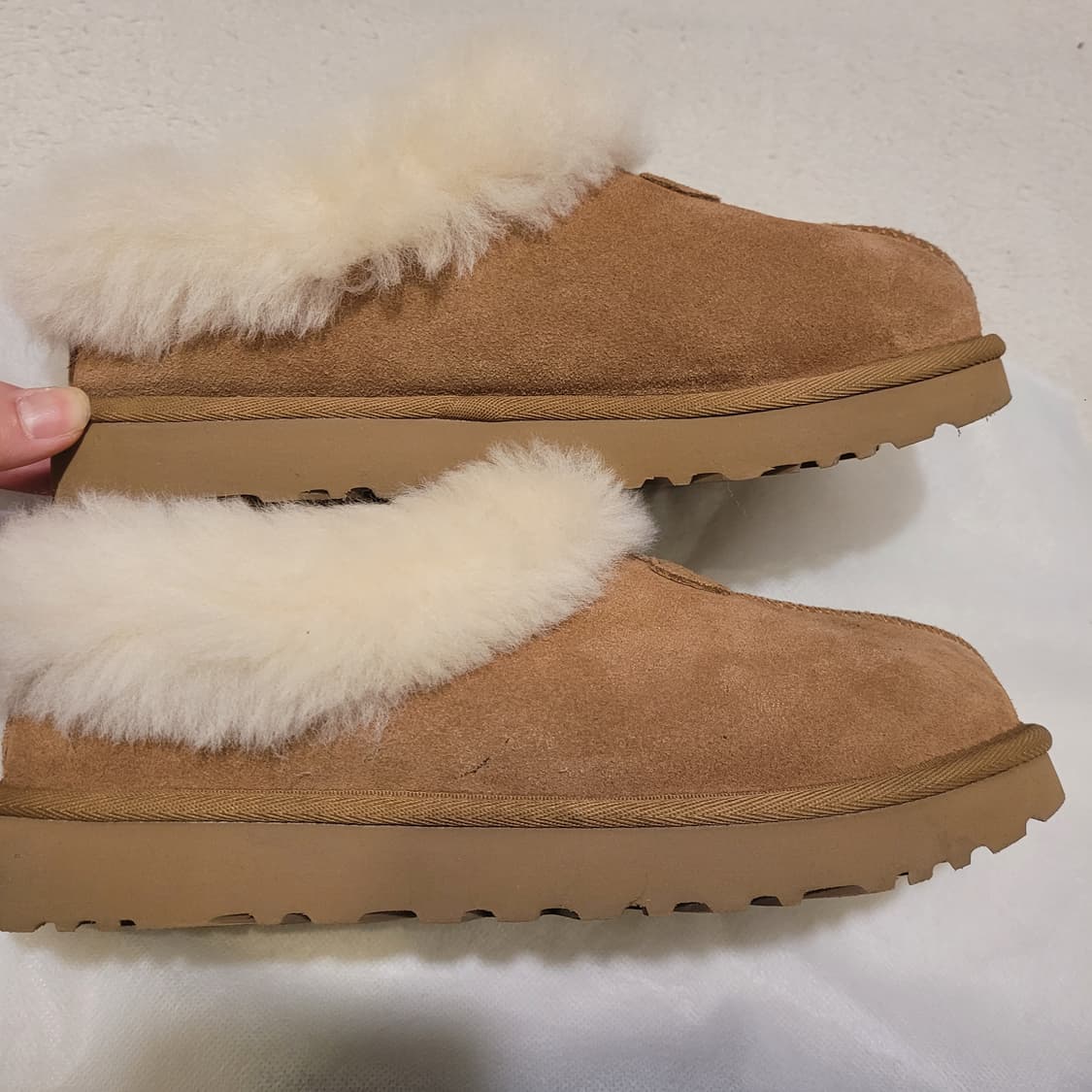 어그 타제트 슬리퍼 240 상품이미지4