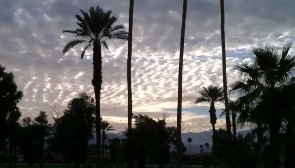 (포켓 캠코더!🍋‍🟩) JVC GC-FM2 캠코더 디카 디지털카메라 상품이미지9