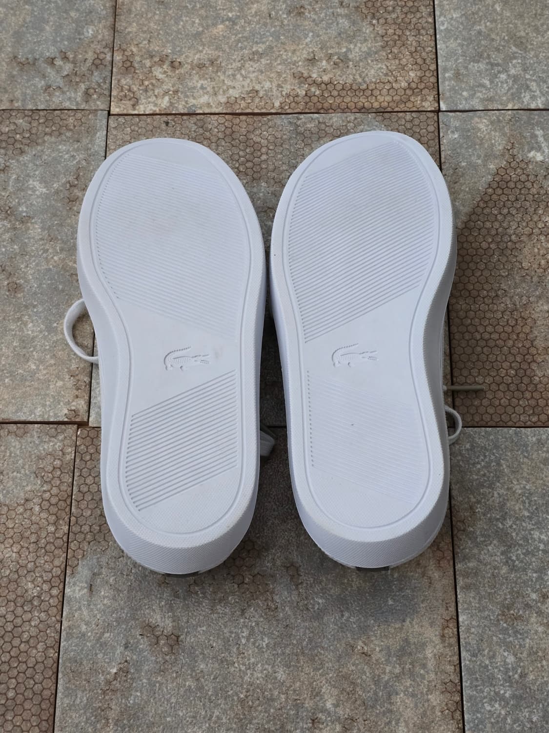 (250)라코스테 라 피케  상품이미지8