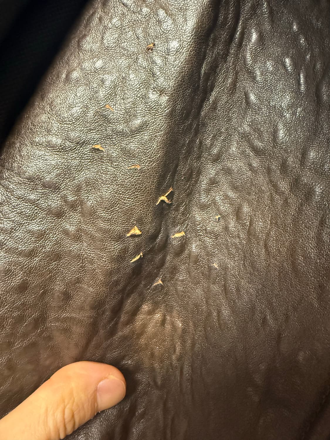 아비렉스 a2 레더자켓 상품이미지9