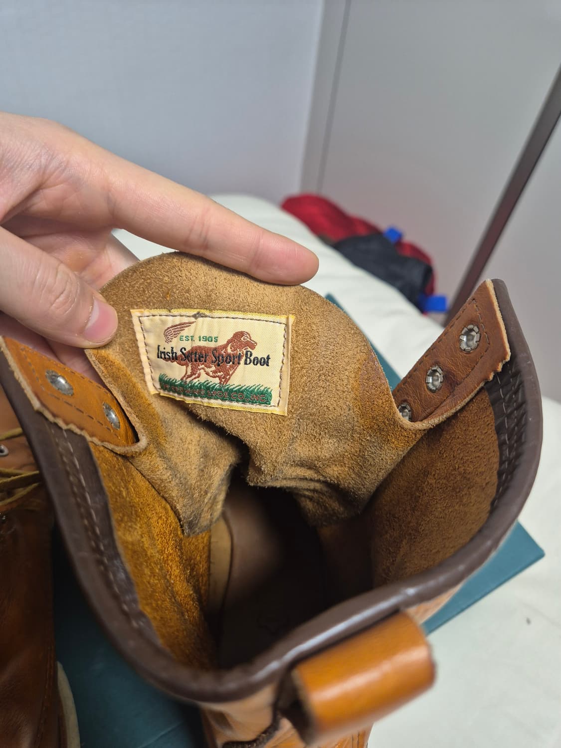 레드윙 아이리쉬세터 9877 판매합니다. 상품이미지8