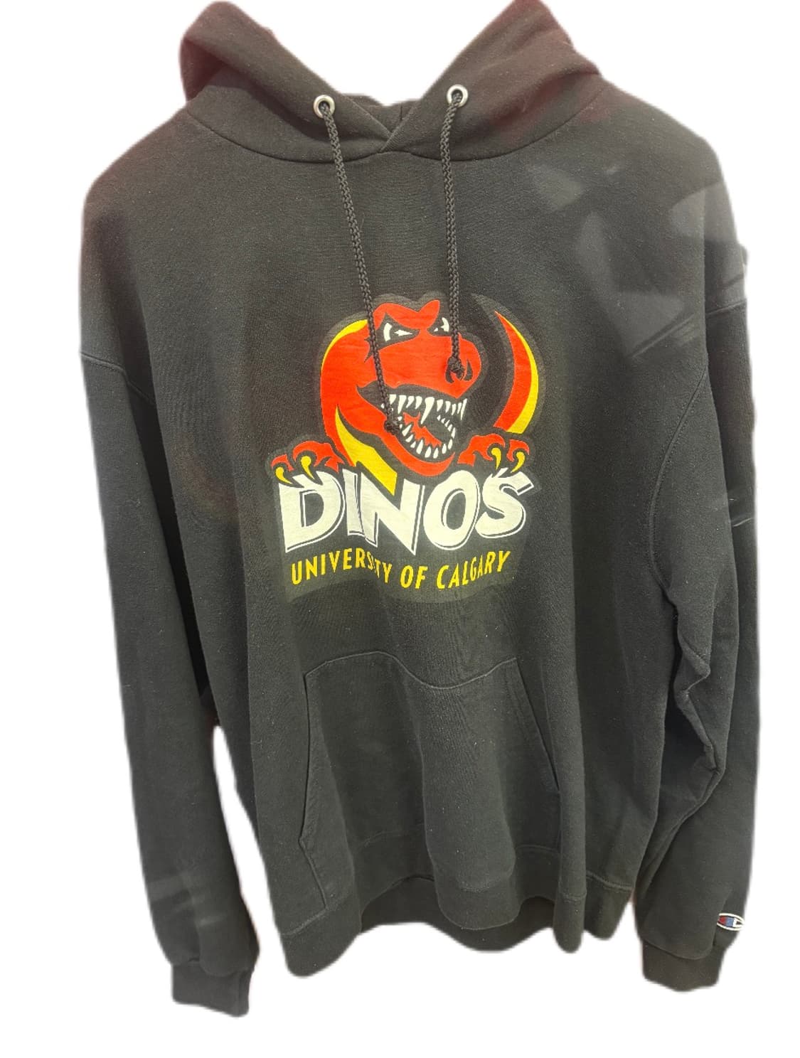 챔피온 후드 스웻셔츠 상품이미지1