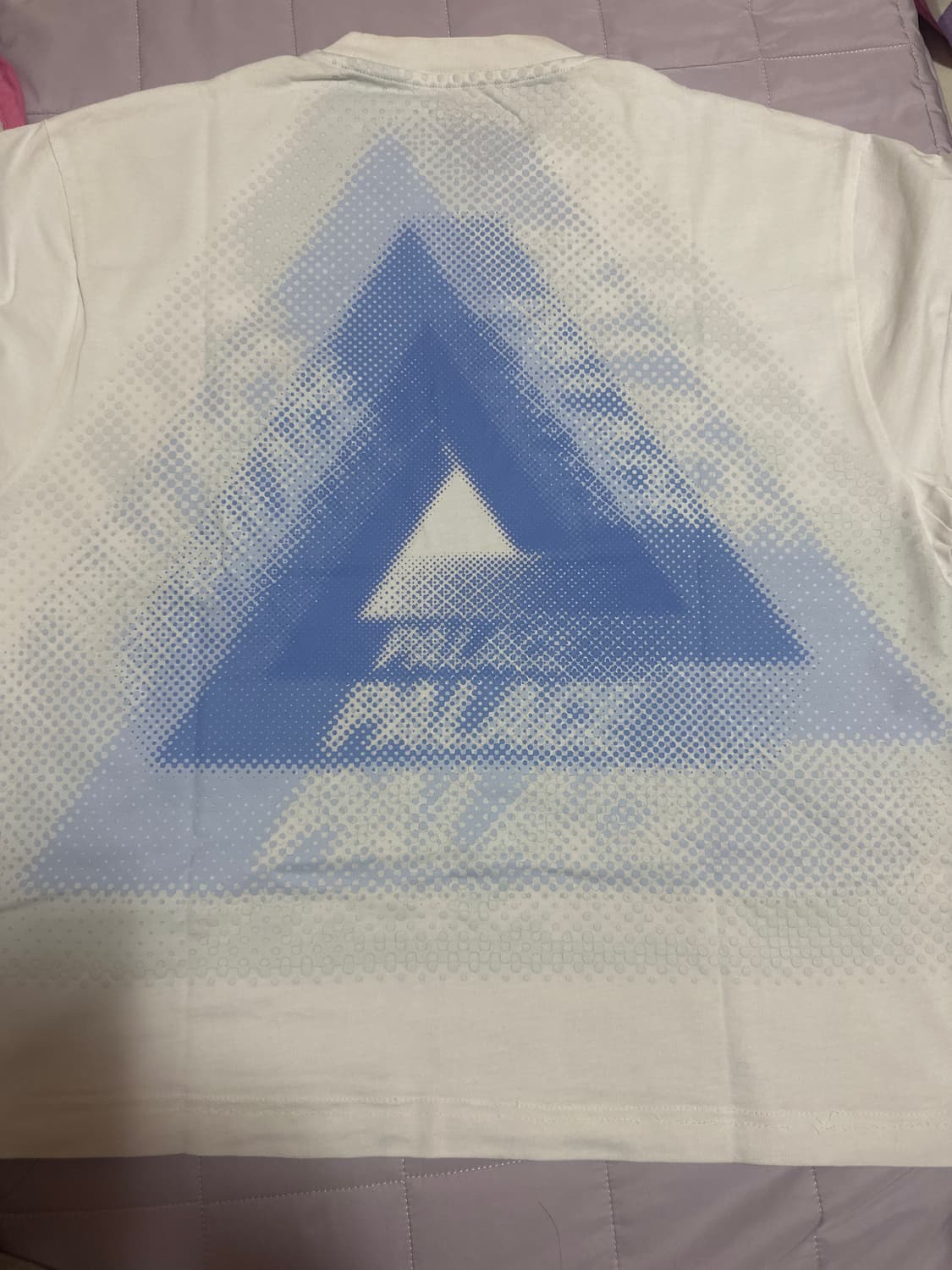 팔라스 트라이페이디드 티셔츠 화이트 - 24FW 상품이미지2