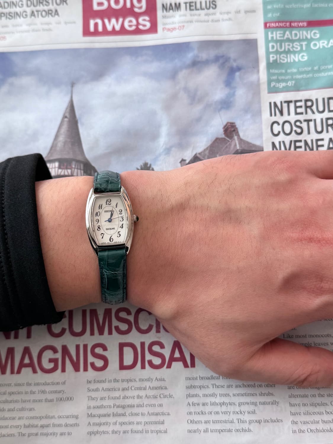 세이코 Seiko Exceline 레이디스  상품이미지4