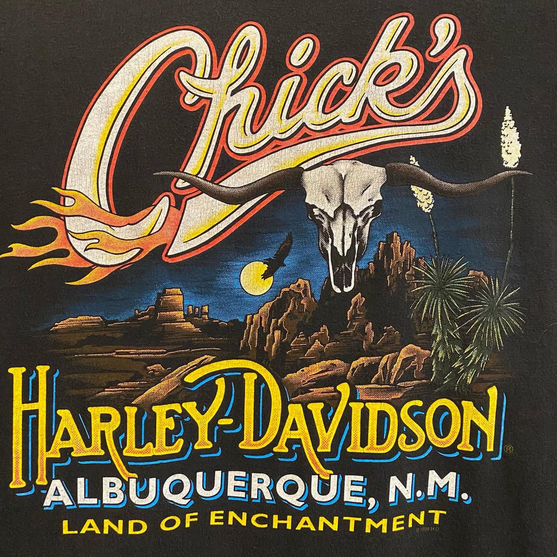 Made in USA 할리데이비슨 칙스 반팔티 상품이미지6