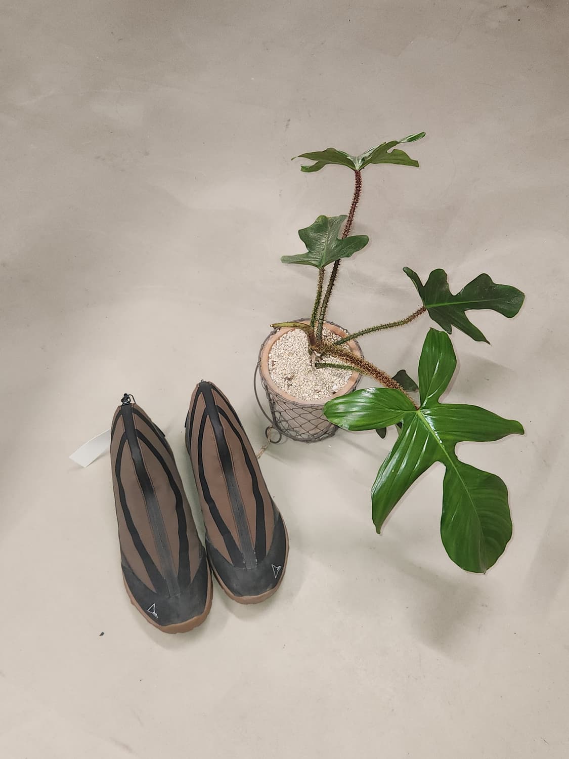 ROA 로아 테리 상품이미지1