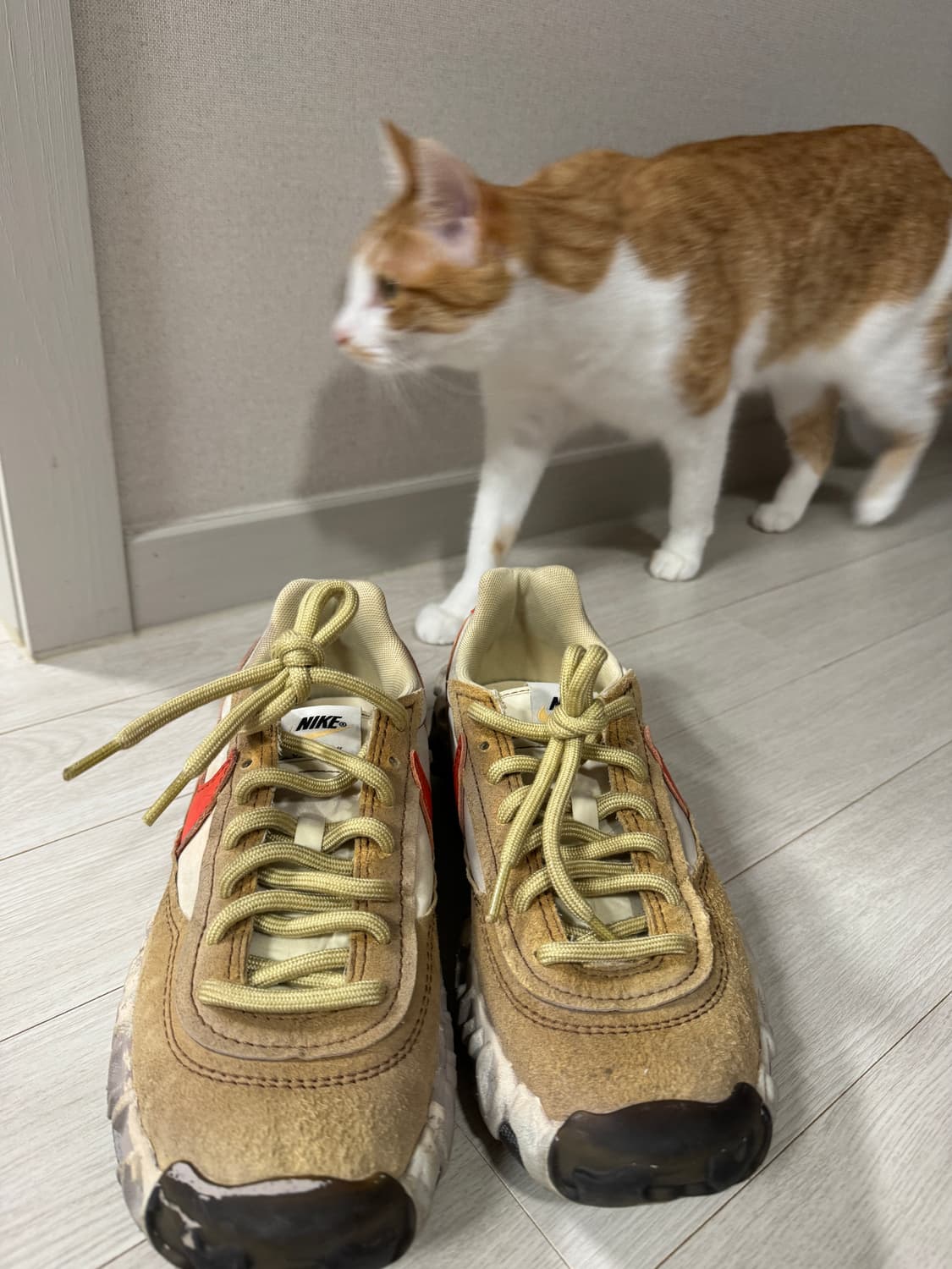 NIKE OVERBREAK SP 255 상품이미지2