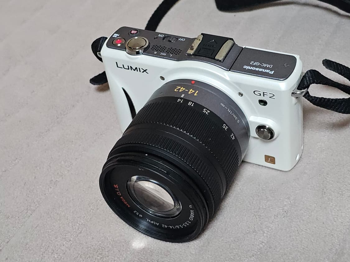 파나소닉 루믹스 DMC-GF2 미러리스 카메라 상품이미지2