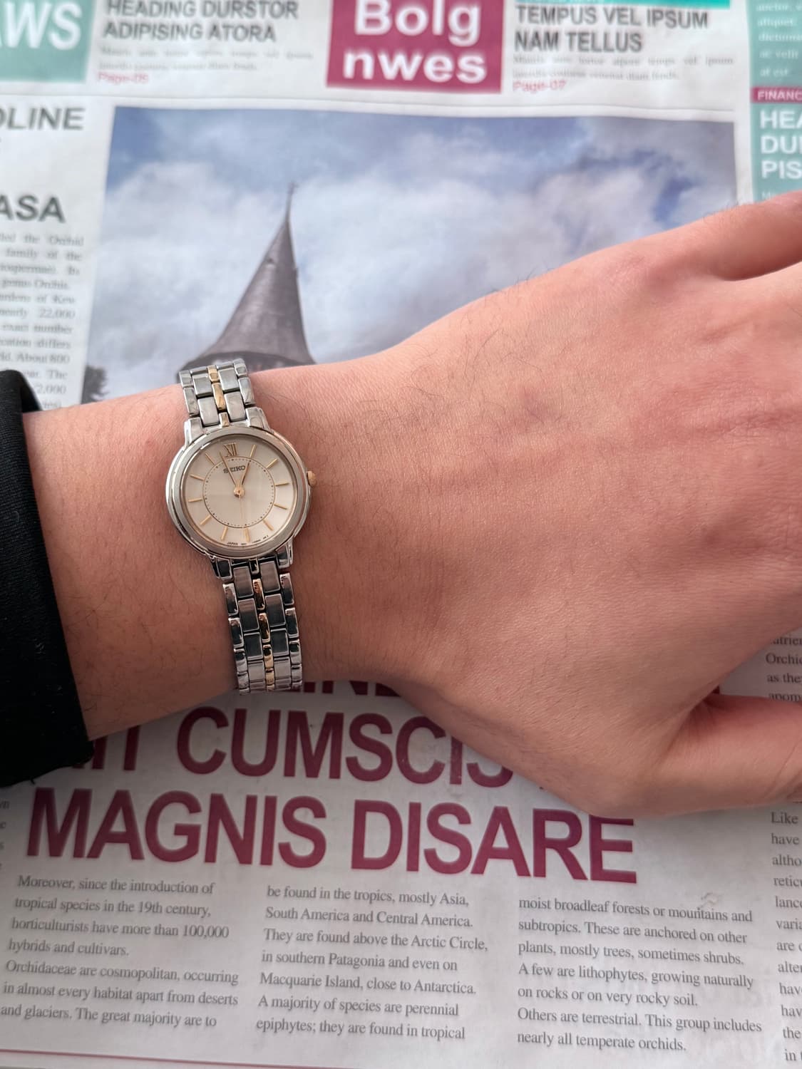 세이코 Seiko 콤비 레이디스 상품이미지4