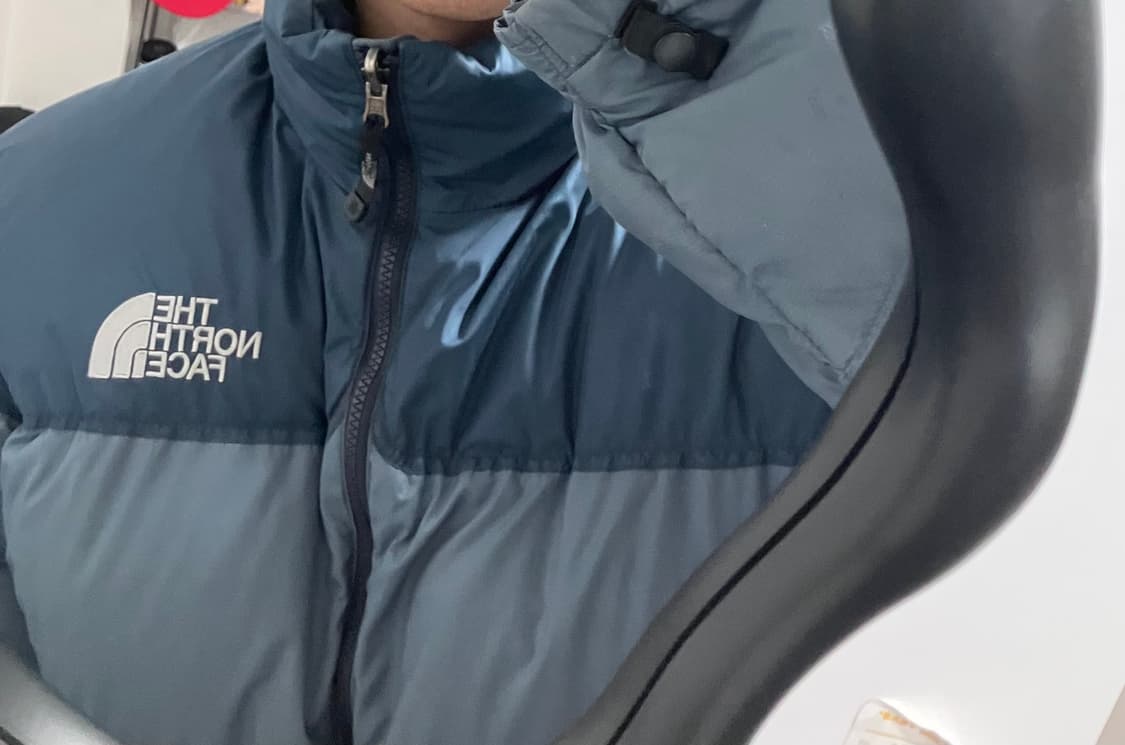 노스페이스 700 눕시 프로즌 쿨그레이 패딩 상품이미지2